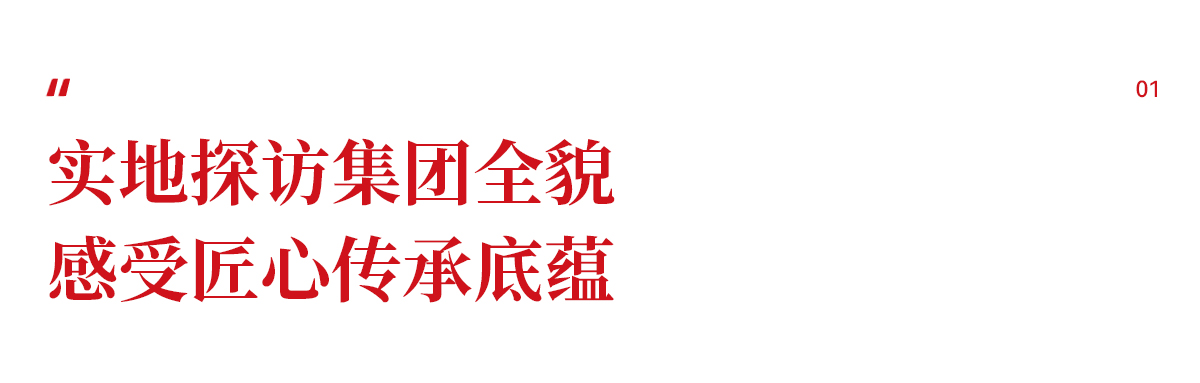 画板 1 拷贝 3.jpg