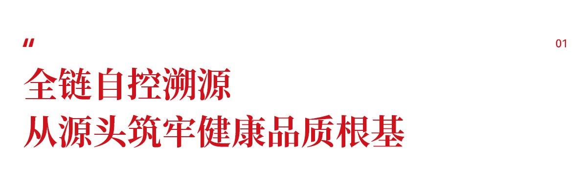 画板 1 拷贝 6.png